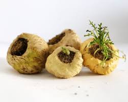 <p>Maca Root</p>