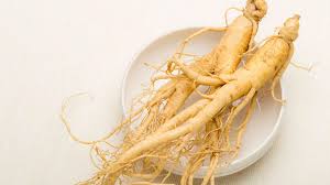 <p>Panax Ginseng</p>