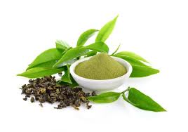 <p>Green Tea Extract</p>